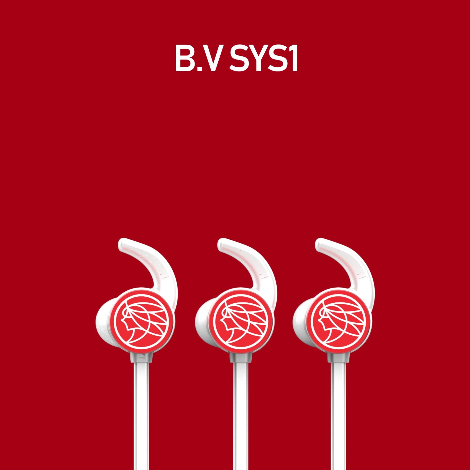 BVSYS1