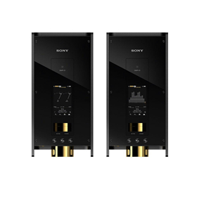 sony 6w(dmpz1)